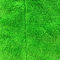 ポリエステル ポリアミドのMicrofiberの清拭布の緑の珊瑚の羊毛30x30