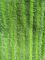緑は折目のオックスフォードの生地のポケットMicrofiberのぬれたモップのパッド14*48をねじりました